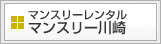 }X[^}X[
